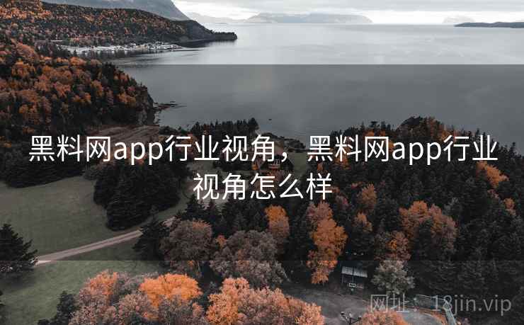 黑料网app行业视角，黑料网app行业视角怎么样