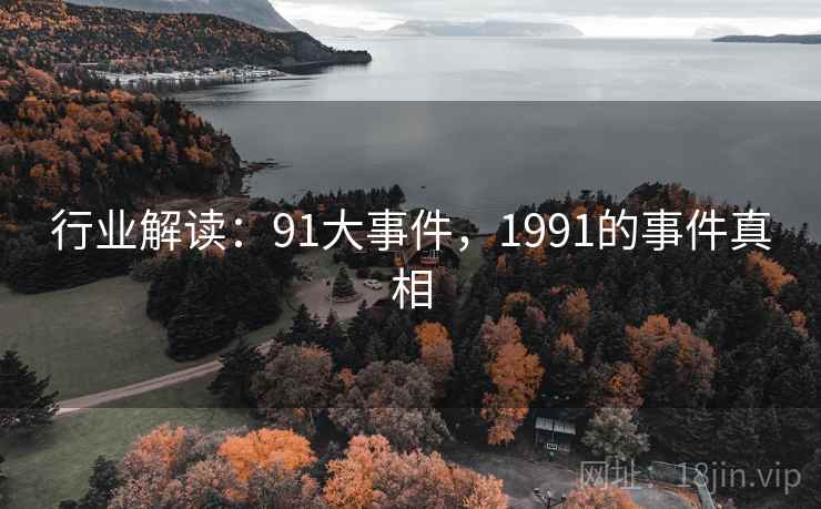 行业解读：91大事件，1991的事件真相