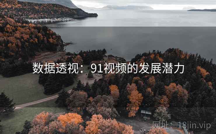 数据透视：91视频的发展潜力