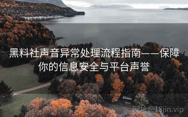 黑料社声音异常处理流程指南——保障你的信息安全与平台声誉