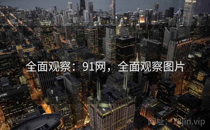 全面观察：91网，全面观察图片