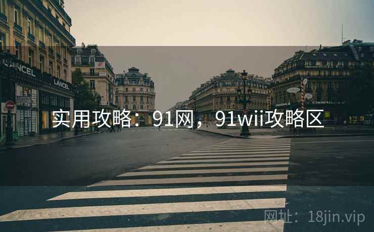 实用攻略：91网，91wii攻略区