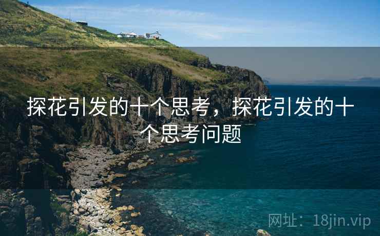 探花引发的十个思考，探花引发的十个思考问题