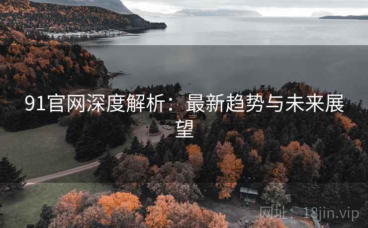 91官网深度解析：最新趋势与未来展望